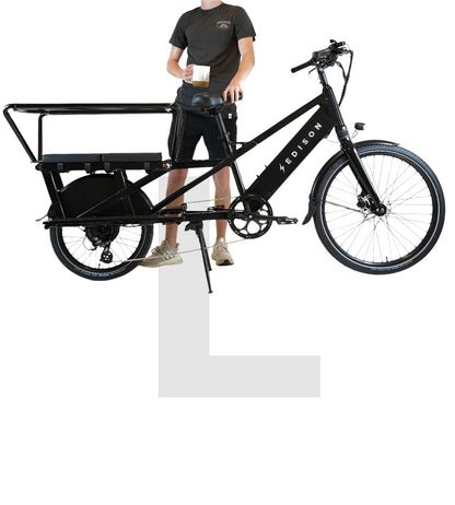 L Model