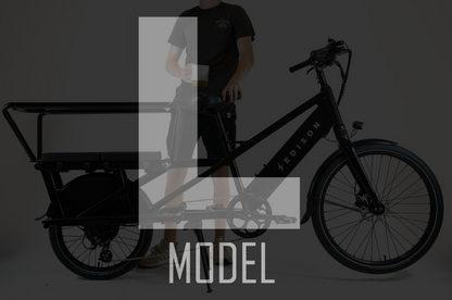 L Model