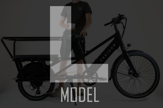 L Model